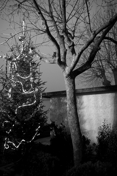 http://lotusroot.online.fr/pentax/christmass.jpg